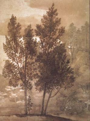Claude Lorrain Trees (mk17)